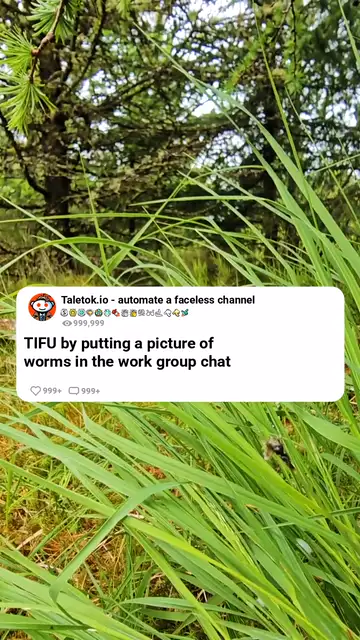 TIFU video made with TaleTok: TIFU by putting a picture of worms in the work group chat